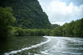 Special worship for Goddess Cauvery